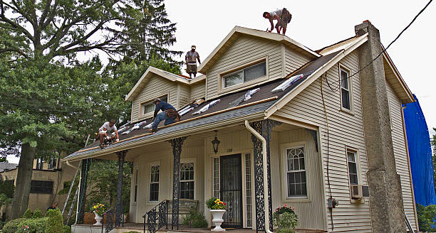 Best Roof Repair Specialists  in Cortland West, NY
